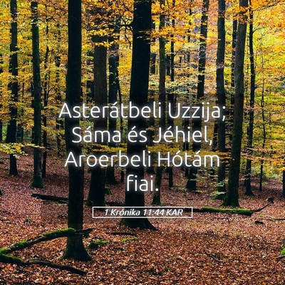 Picture 05 - 1 Krónika 11:44 KAR - Asterátbeli Uzzija; Sáma és Jéhiel, Aroerbeli - Bible Verse Picture