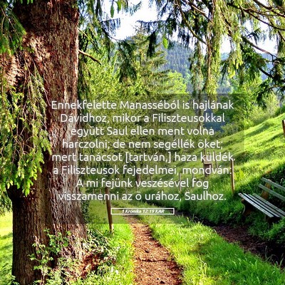 Picture 05 - 1 Krónika 12:19 KAR - Ennekfelette Manasséból is hajlának Dávidhoz, - Bible Verse Picture