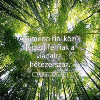 Picture 05 - 1 Krónika 12:25 KAR - A Simeon fiai közül [vitéz] férfiak a - Bible Verse Picture