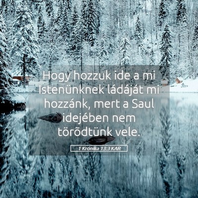 Picture 05 - 1 Krónika 13:3 KAR - Hogy hozzuk ide a mi Istenünknek ládáját mi - Bible Verse Picture