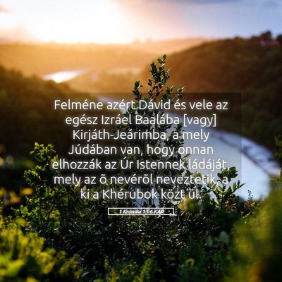 Picture 05 - 1 Krónika 13:6 KAR - Felméne azért Dávid és vele az egész Izráel - Bible Verse Picture