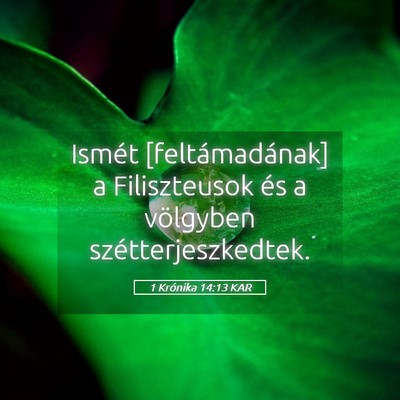 Picture 05 - 1 Krónika 14:13 KAR - Ismét [feltámadának] a Filiszteusok és a - Bible Verse Picture