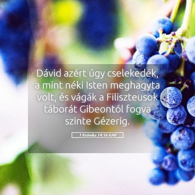 Picture 05 - 1 Krónika 14:16 KAR - Dávid azért úgy cselekedék, a mint néki - Bible Verse Picture