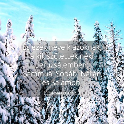 Picture 05 - 1 Krónika 14:4 KAR - És ezek neveik azoknak, a kik születtek néki - Bible Verse Picture