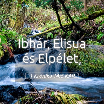 Picture 05 - 1 Krónika 14:5 KAR - Ibhár, Elisua és - Bible Verse Picture