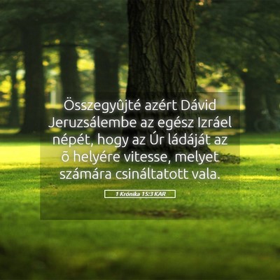 Picture 05 - 1 Krónika 15:3 KAR - Összegyûjté azért Dávid Jeruzsálembe az - Bible Verse Picture