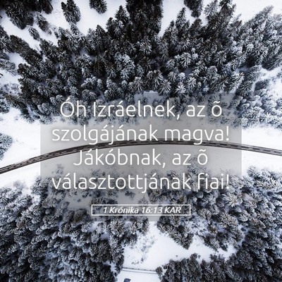 Picture 05 - 1 Krónika 16:13 KAR - Óh Izráelnek, az õ szolgájának magva! - Bible Verse Picture