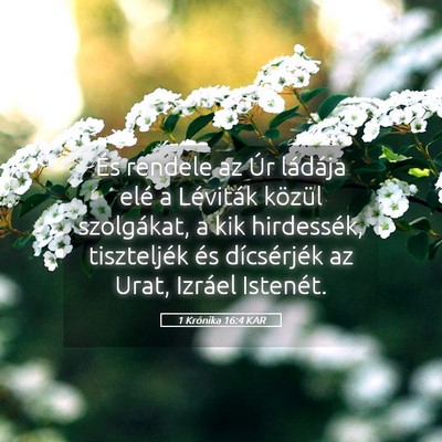 Picture 05 - 1 Krónika 16:4 KAR - És rendele az Úr ládája elé a Léviták - Bible Verse Picture