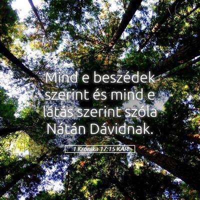 Picture 05 - 1 Krónika 17:15 KAR - Mind e beszédek szerint és mind e látás - Bible Verse Picture