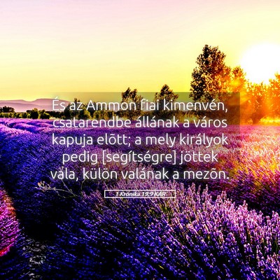 Picture 05 - 1 Krónika 19:9 KAR - És az Ammon fiai kimenvén, csatarendbe - Bible Verse Picture