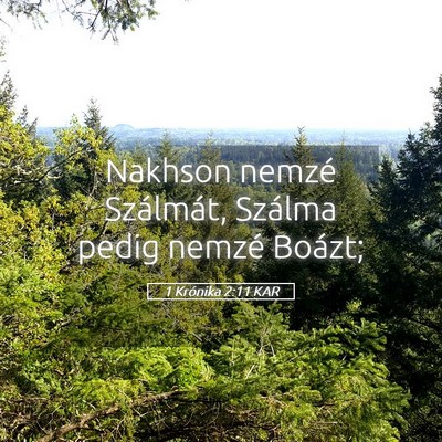 Picture 05 - 1 Krónika 2:11 KAR - Nakhson nemzé Szálmát, Szálma pedig nemzé - Bible Verse Picture