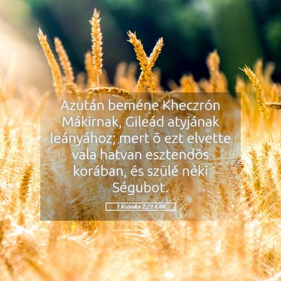 Picture 05 - 1 Krónika 2:21 KAR - Azután beméne Kheczrón Mákirnak, Gileád - Bible Verse Picture