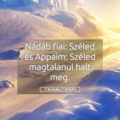 Picture 05 - 1 Krónika 2:30 KAR - Nádáb fiai: Széled és Appaim: Széled - Bible Verse Picture