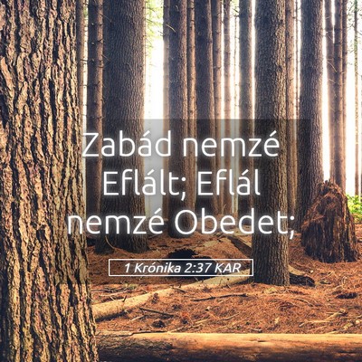 Picture 05 - 1 Krónika 2:37 KAR - Zabád nemzé Eflált; Eflál nemzé - Bible Verse Picture