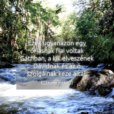 Picture 05 - 1 Krónika 20:8 KAR - Ezek ugyanazon egy óriásnak fiai voltak - Bible Verse Picture