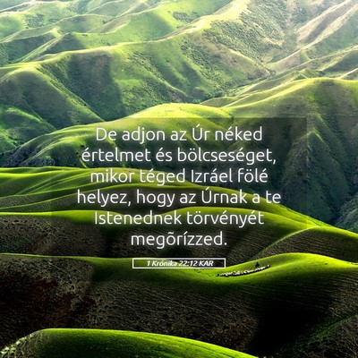 Picture 05 - 1 Krónika 22:12 KAR - De adjon az Úr néked értelmet és - Bible Verse Picture