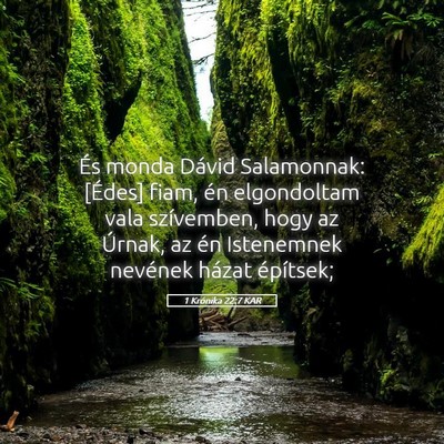 Picture 05 - 1 Krónika 22:7 KAR - És monda Dávid Salamonnak: [Édes] fiam, én - Bible Verse Picture