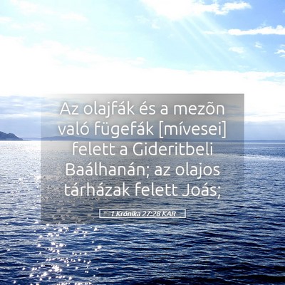 Picture 05 - 1 Krónika 27:28 KAR - Az olajfák és a mezõn való fügefák - Bible Verse Picture