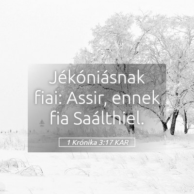 Picture 05 - 1 Krónika 3:17 KAR - Jékóniásnak fiai: Assir, ennek fia - Bible Verse Picture