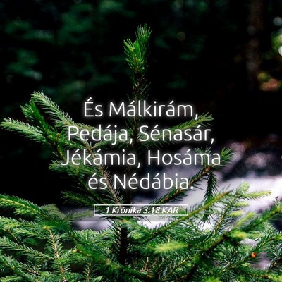 Picture 05 - 1 Krónika 3:18 KAR - És Málkirám, Pedája, Sénasár, Jékámia, - Bible Verse Picture