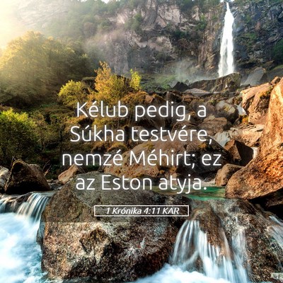Picture 05 - 1 Krónika 4:11 KAR - Kélub pedig, a Súkha testvére, nemzé Méhirt; - Bible Verse Picture