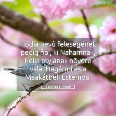 Picture 05 - 1 Krónika 4:19 KAR - Hódia nevû feleségének pedig fiai, ki - Bible Verse Picture