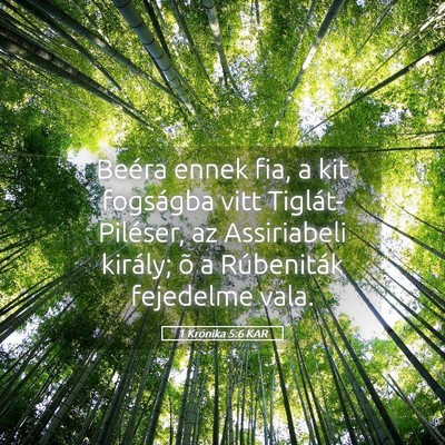 Picture 05 - 1 Krónika 5:6 KAR - Beéra ennek fia, a kit fogságba vitt - Bible Verse Picture