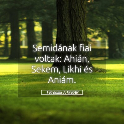 Picture 05 - 1 Krónika 7:19 KAR - Semidának fiai voltak: Ahián, Sekem, Likhi és - Bible Verse Picture