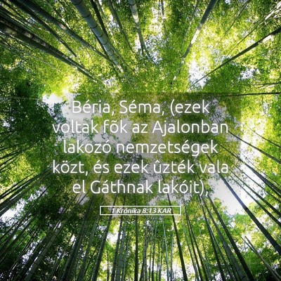 Picture 05 - 1 Krónika 8:13 KAR - Béria, Séma, (ezek voltak fõk az Ajalonban - Bible Verse Picture