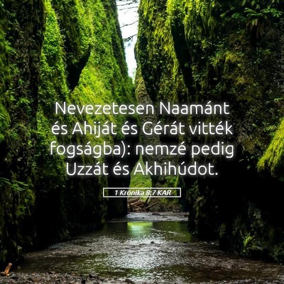 Picture 05 - 1 Krónika 8:7 KAR - Nevezetesen Naamánt és Ahiját és Gérát - Bible Verse Picture