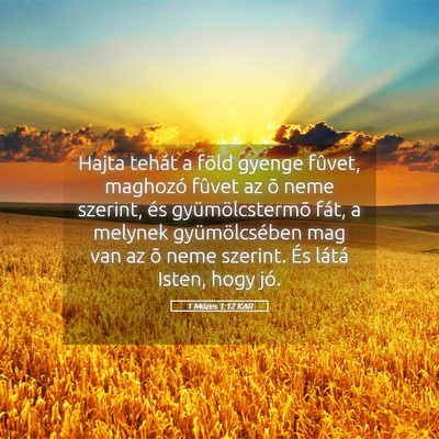 Picture 05 - 1 Mózes 1:12 KAR - Hajta tehát a föld gyenge fûvet, maghozó - Bible Verse Picture