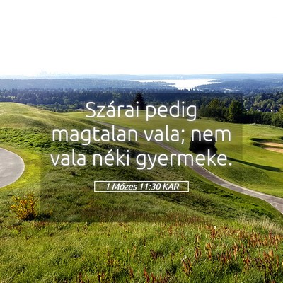 Picture 05 - 1 Mózes 11:30 KAR - Szárai pedig magtalan vala; nem vala néki - Bible Verse Picture