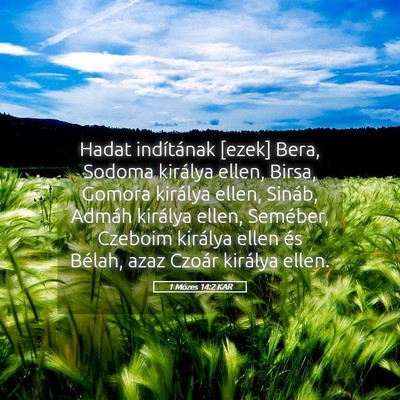 Picture 05 - 1 Mózes 14:2 KAR - Hadat indítának [ezek] Bera, Sodoma királya - Bible Verse Picture