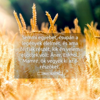 Picture 05 - 1 Mózes 14:24 KAR - Semmi egyebet, csupán a legények élelmét, és - Bible Verse Picture