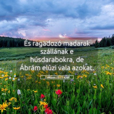 Picture 05 - 1 Mózes 15:11 KAR - És ragadozó madarak szállának e - Bible Verse Picture
