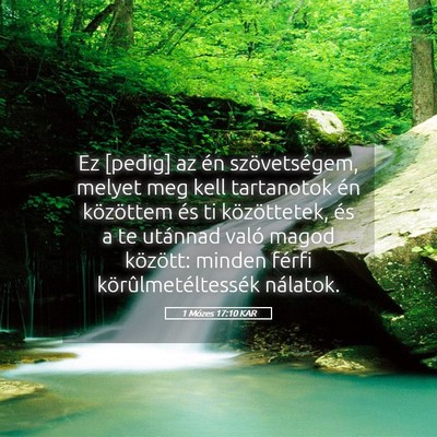 Picture 05 - 1 Mózes 17:10 KAR - Ez [pedig] az én szövetségem, melyet meg kell - Bible Verse Picture