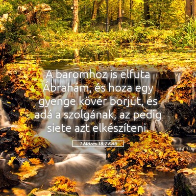 Picture 05 - 1 Mózes 18:7 KAR - A baromhoz is elfuta Ábrahám, és hoza egy - Bible Verse Picture