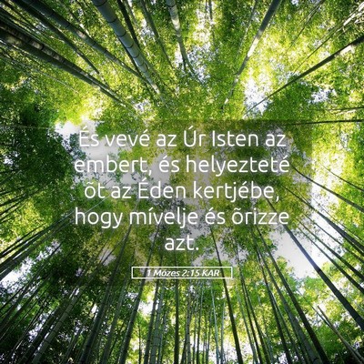 Picture 05 - 1 Mózes 2:15 KAR - És vevé az Úr Isten az embert, és helyezteté - Bible Verse Picture