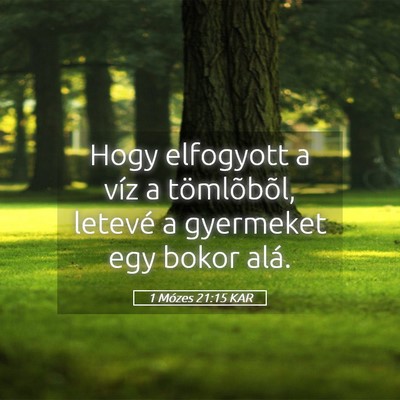 Picture 05 - 1 Mózes 21:15 KAR - Hogy elfogyott a víz a tömlõbõl, letevé a - Bible Verse Picture