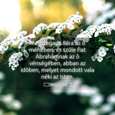 Picture 05 - 1 Mózes 21:2 KAR - Mert fogada Sára az õ méhében, és szûle - Bible Verse Picture