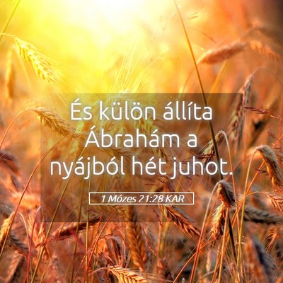 Picture 05 - 1 Mózes 21:28 KAR - És külön állíta Ábrahám a nyájból hét - Bible Verse Picture
