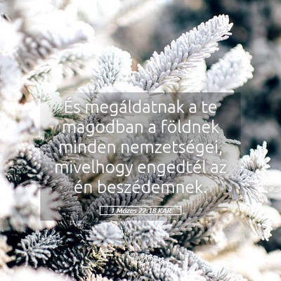 Picture 05 - 1 Mózes 22:18 KAR - És megáldatnak a te magodban a földnek minden - Bible Verse Picture