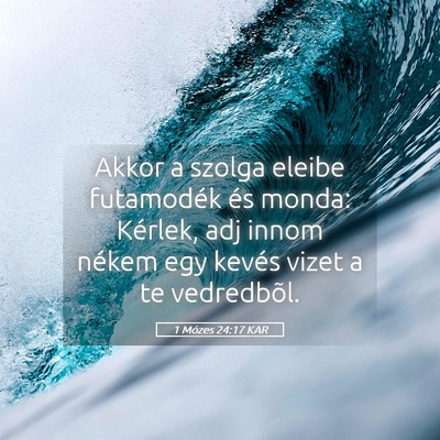 Picture 05 - 1 Mózes 24:17 KAR - Akkor a szolga eleibe futamodék és monda: - Bible Verse Picture