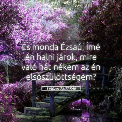 Picture 05 - 1 Mózes 25:32 KAR - És monda Ézsaú; Ímé én halni járok, mire - Bible Verse Picture