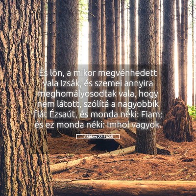 Picture 05 - 1 Mózes 27:1 KAR - És lõn, a mikor megvénhedett vala Izsák, és - Bible Verse Picture