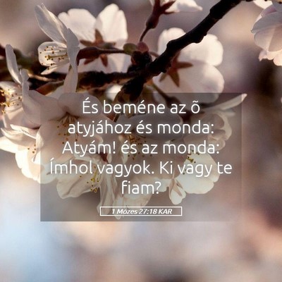 Picture 05 - 1 Mózes 27:18 KAR - És beméne az õ atyjához és monda: Atyám! - Bible Verse Picture