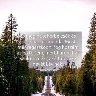 Picture 05 - 1 Mózes 29:34 KAR - És megint teherbe esék és szûle fiat, és - Bible Verse Picture