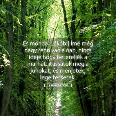 Picture 05 - 1 Mózes 29:7 KAR - És monda [Jákób:] Ímé még nagy fenn van a - Bible Verse Picture