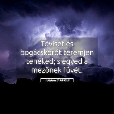 Picture 05 - 1 Mózes 3:18 KAR - Töviset és bogácskórót teremjen tenéked; s - Bible Verse Picture