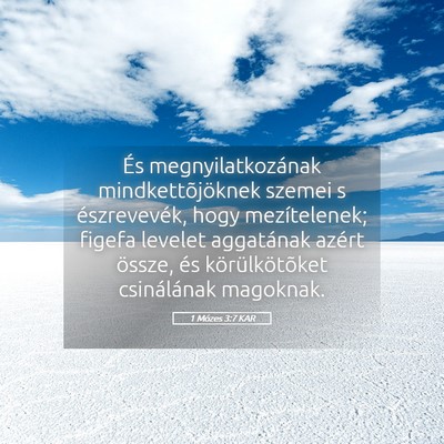 Picture 05 - 1 Mózes 3:7 KAR - És megnyilatkozának mindkettõjöknek szemei s - Bible Verse Picture